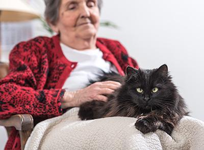 senior person with lap cat