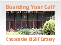 Choosing the right boarding cattery for your cat