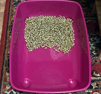 half full cat litter tray