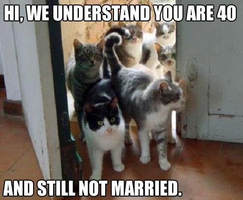 hi-we-understand-you-are-not-married.jpg