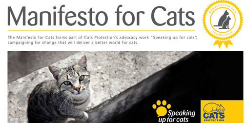 cp_cat_manifesto.jpg