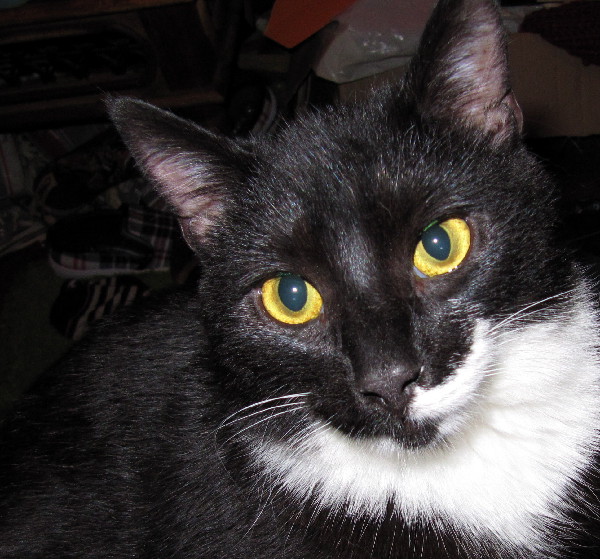 Hector 050415 tiny.JPG