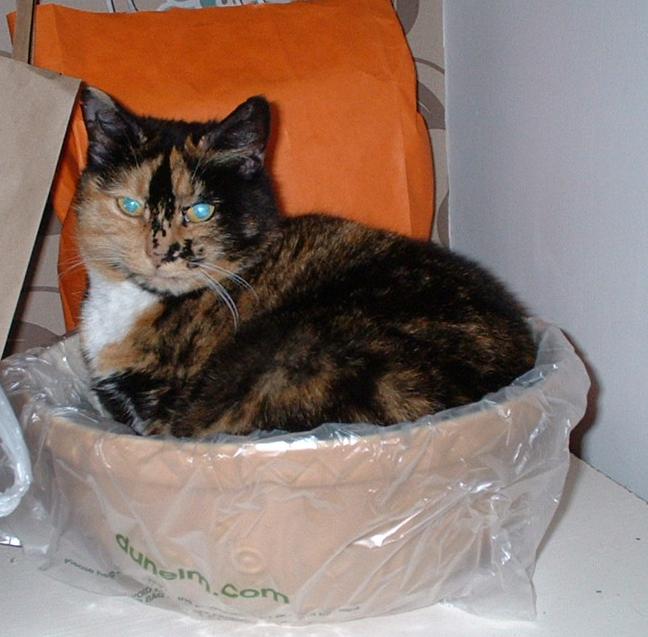 Phoebe mixing bowl 11.JPG