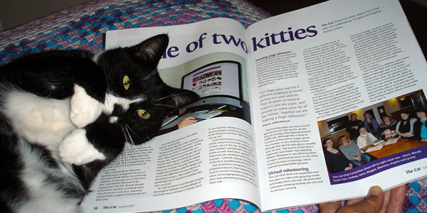 catchat_dave_cp_mag.jpg
