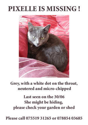 Pixelle missing poster copy check for jens.jpg