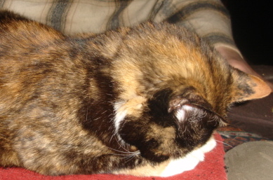 DSC00931.JPG