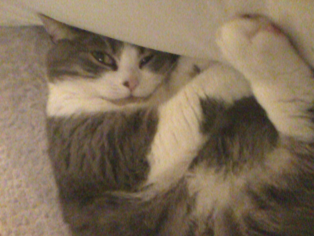 My beautiful baby girl