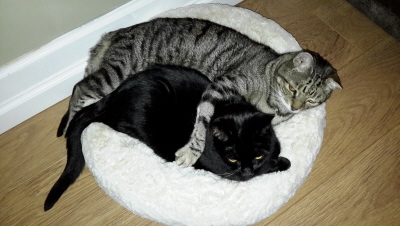 20141111_223830.jpg