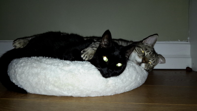 20141217_223342.jpg