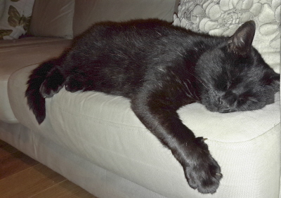 20150909_222459.jpg