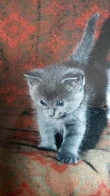 20160314_083424_opt-1.jpg