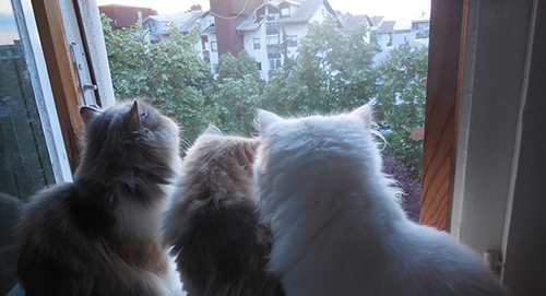 Mila_Kala_Casper0123.jpg