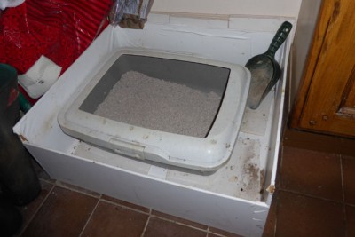 Litter tray P1110500vs.jpg