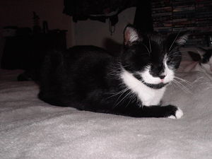 PB050004_opt.jpg
