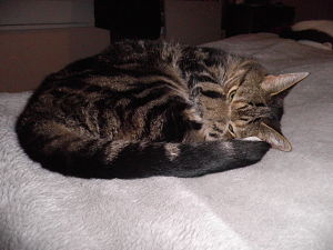 PB050001_opt.jpg