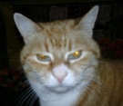 Emmy ava 1.jpg