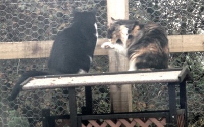Sitting together.jpg