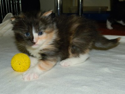 Ria 5 weeks.jpg