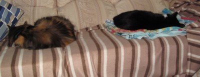 2 Both on sofa Ria 1 yr.JPG