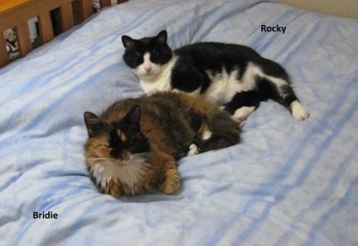 Rocky and Bridie.jpg