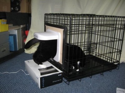 Shadow in crate.jpg