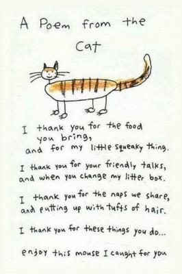 Poem from the cat.jpg