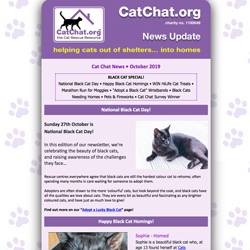 catchat-oct2019-news.jpg