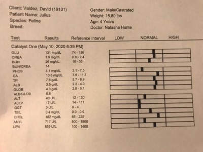 Blood test results