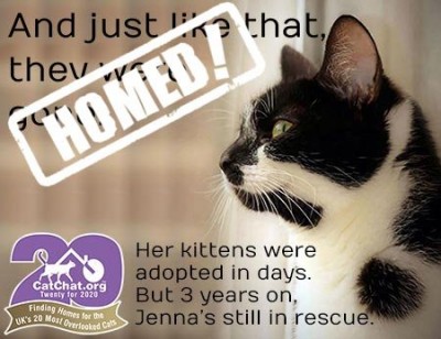 jenna-homed-450.jpg