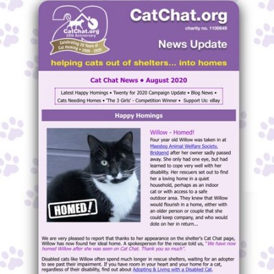 catchat-august-news.jpg