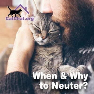 blog-neutering-forum.jpg