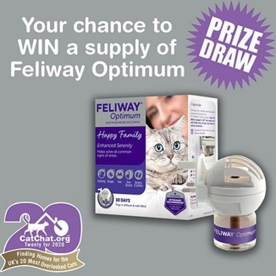 feliway-optimum-draw-450.jpg