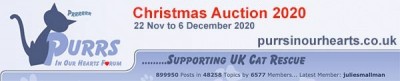 purrs-xmas-auction.jpg