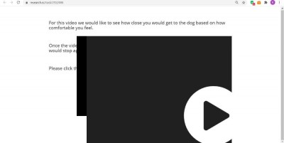 dog video.jpg