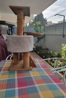 bar and tower in garden