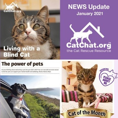 catchat-jan2021-news2.jpg