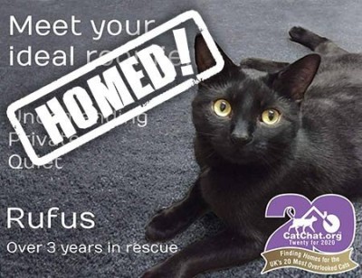 rufus-homed-450.jpg