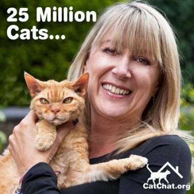 blog-25-million-cats-forum.jpg