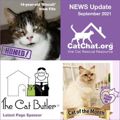 catchat-sept-2021-news.jpg