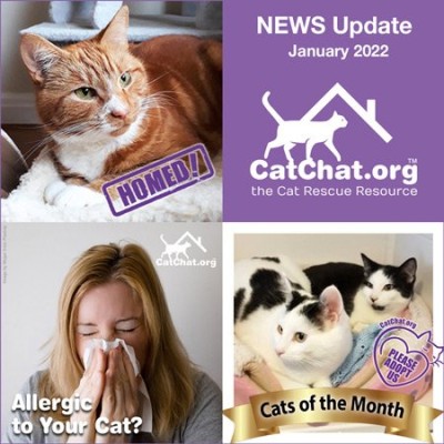 catchat-jan22-news.jpg