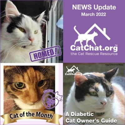 catchat-march-news.jpg