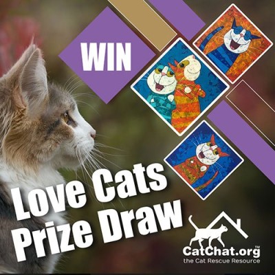 love-cats-draw-500.jpg