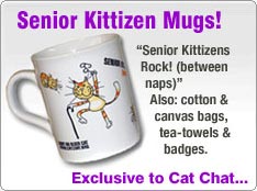 Senior Kittizens - Adopt an Older Cat mug