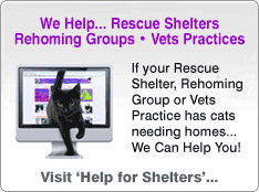 Cat Chat Help for Shelters