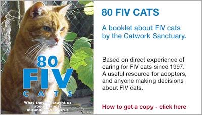 80 FIV cats book by Catwork Sanctuary