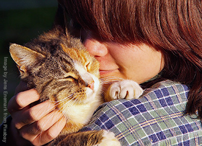 Owner cuddling a contented cat