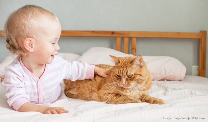 Cats & Babies: Living in Harmony - Cat Chat