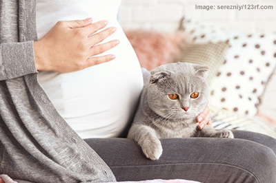 Pregnant women with cat on lap