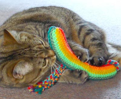 Cat playing with catnip toy