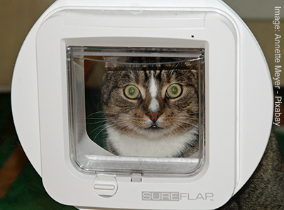 microchip cat flap
